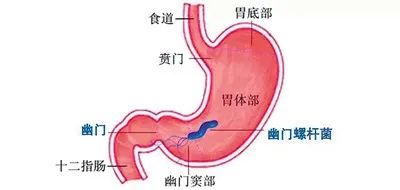 微信图片_20220826143311.jpg