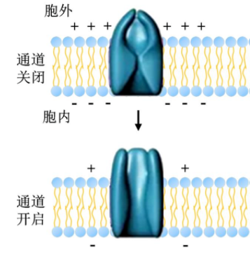 微信图片_20220928100434.png