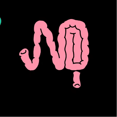 4AC806C6-E5B3-480C-A543-64FE3E8C3487.gif