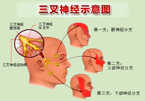 微信图片_20221111095640.gif