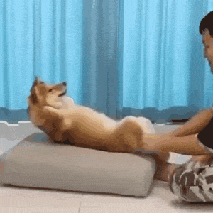 微信图片_20221222194327.gif