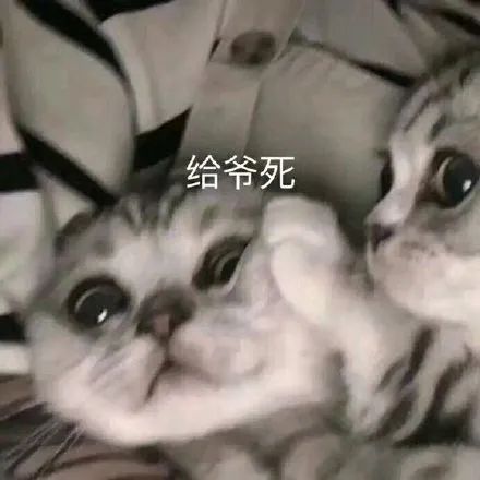微信图片_20221222194429.jpg