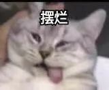 微信图片_20221222195401.jpg