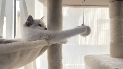 微信图片_20221227165207.gif