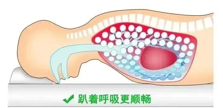 微信图片_20230106092548.jpg