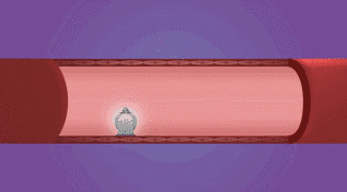 微信图片_20230206161959.gif