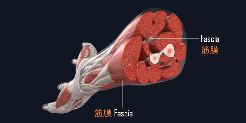 微信图片_20230214093138.png