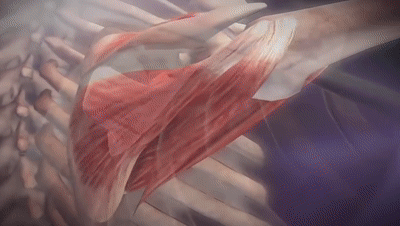 微信图片_20230214093152.gif