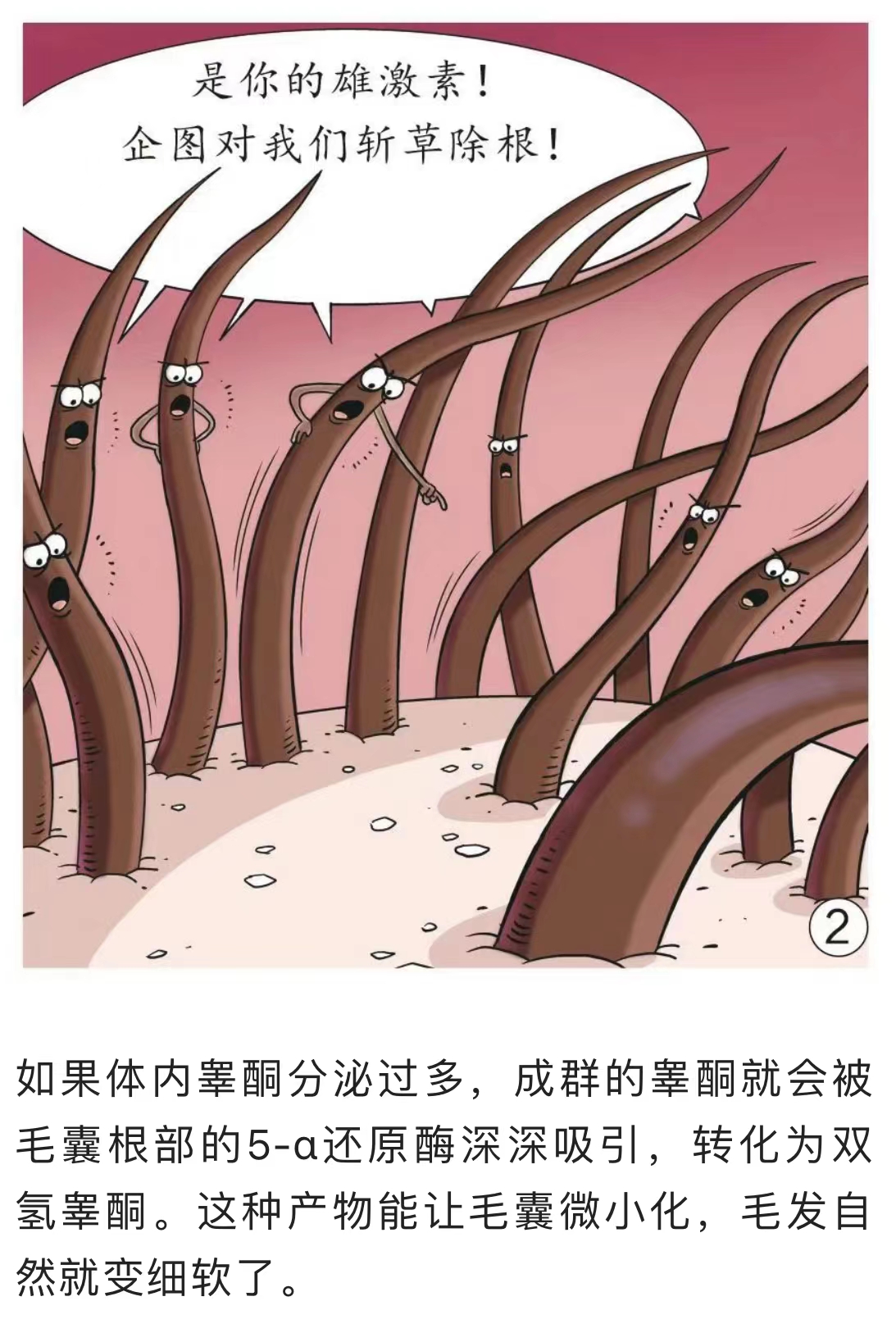 微信图片_202302271551143.jpg