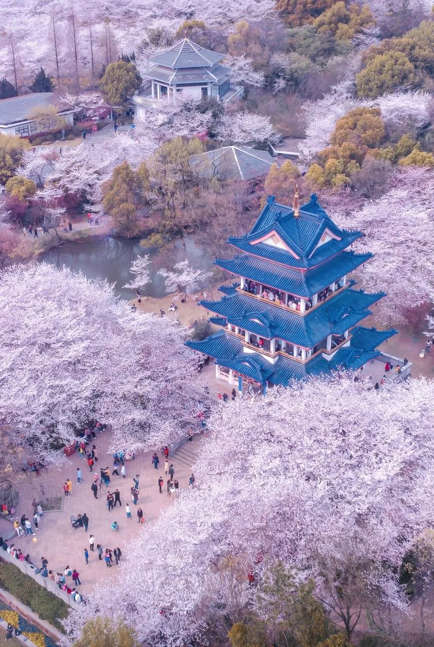 微信图片_20230306154421.jpg