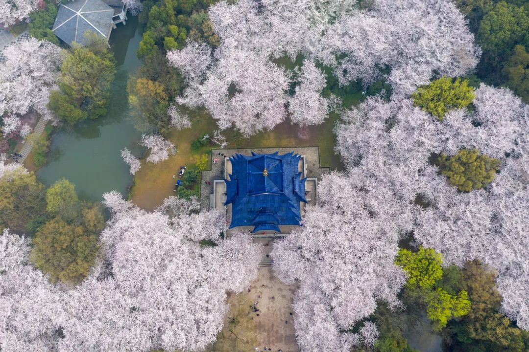 微信图片_20230306154453.jpg