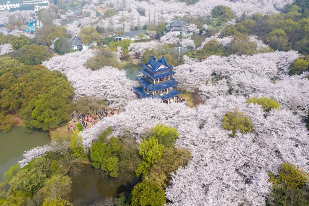 微信图片_20230306154456.jpg