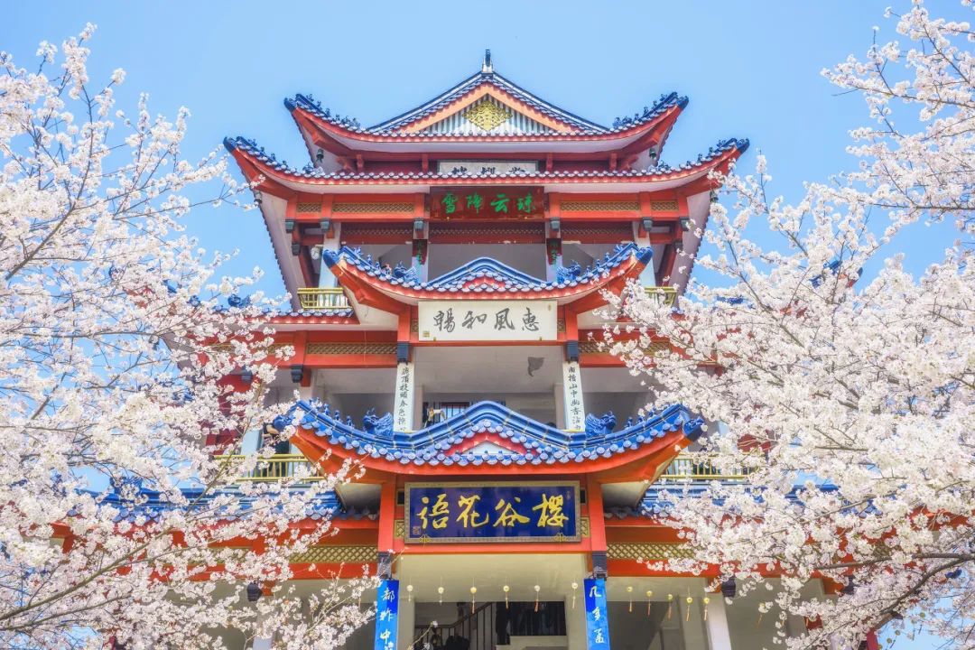 微信图片_20230306154501.jpg