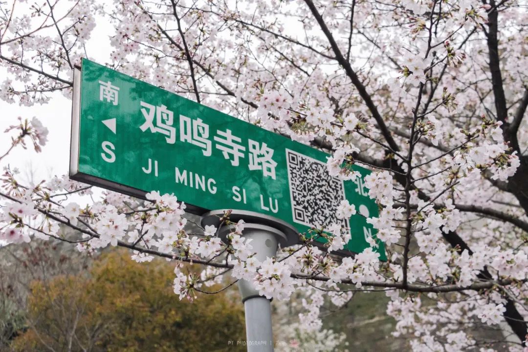 微信图片_20230306160343.jpg