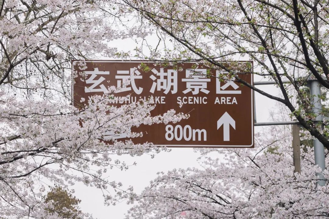 微信图片_20230306160402.jpg