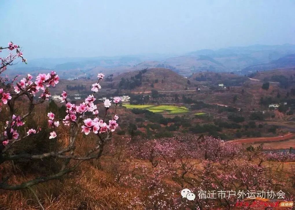 微信图片_20230306160733.jpg