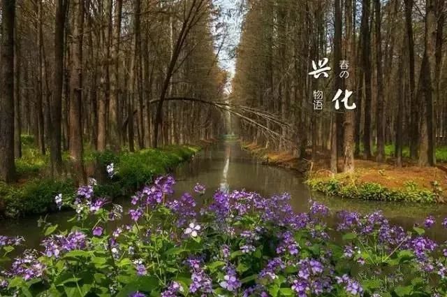微信图片_20230306161105.jpg
