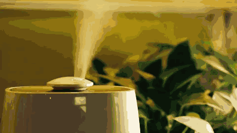 微信图片_20230411162721.gif