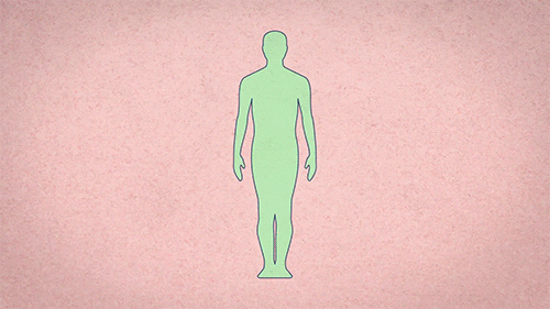 微信图片_20230426160159.gif