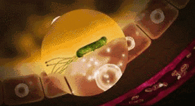 640.gif