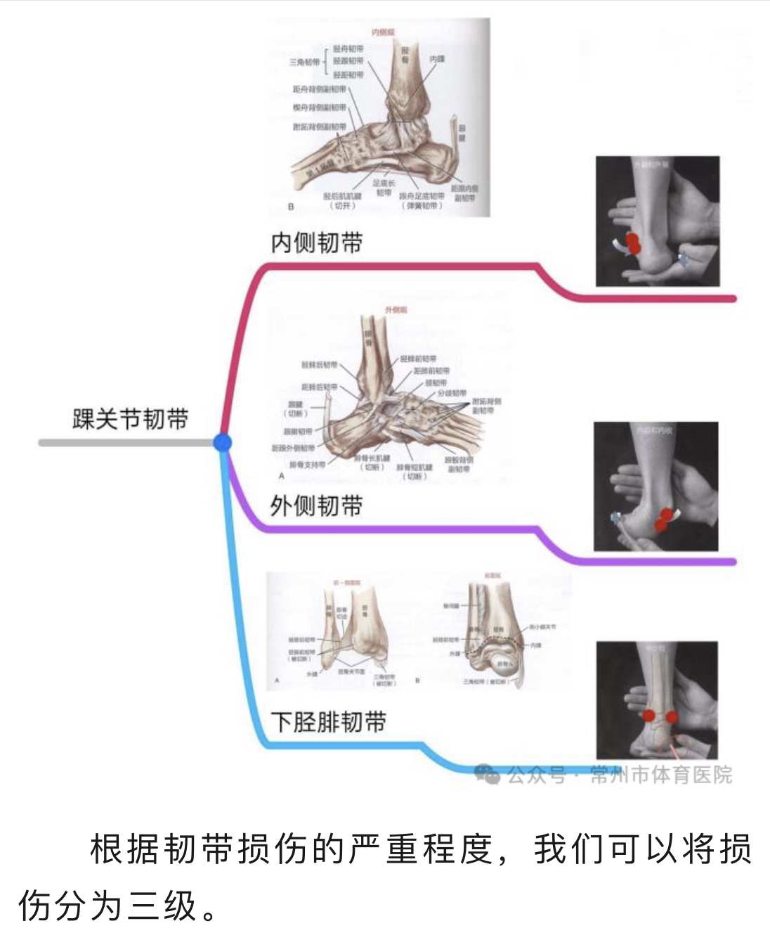 微信图片_202402271140201.jpg