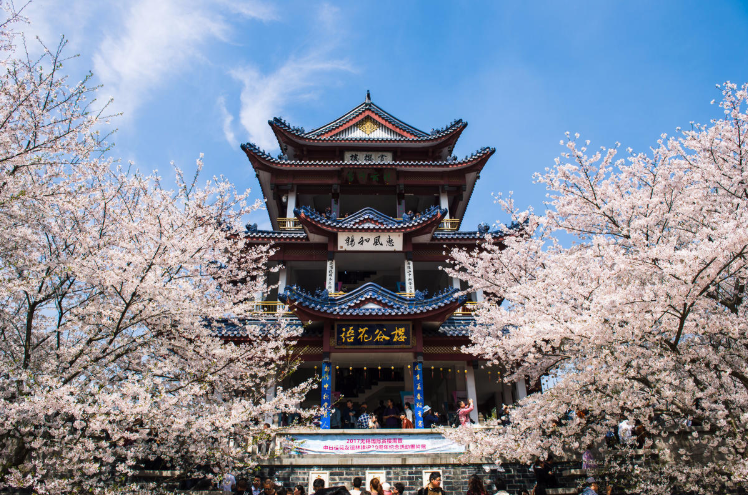 微信图片_20240320113641.png