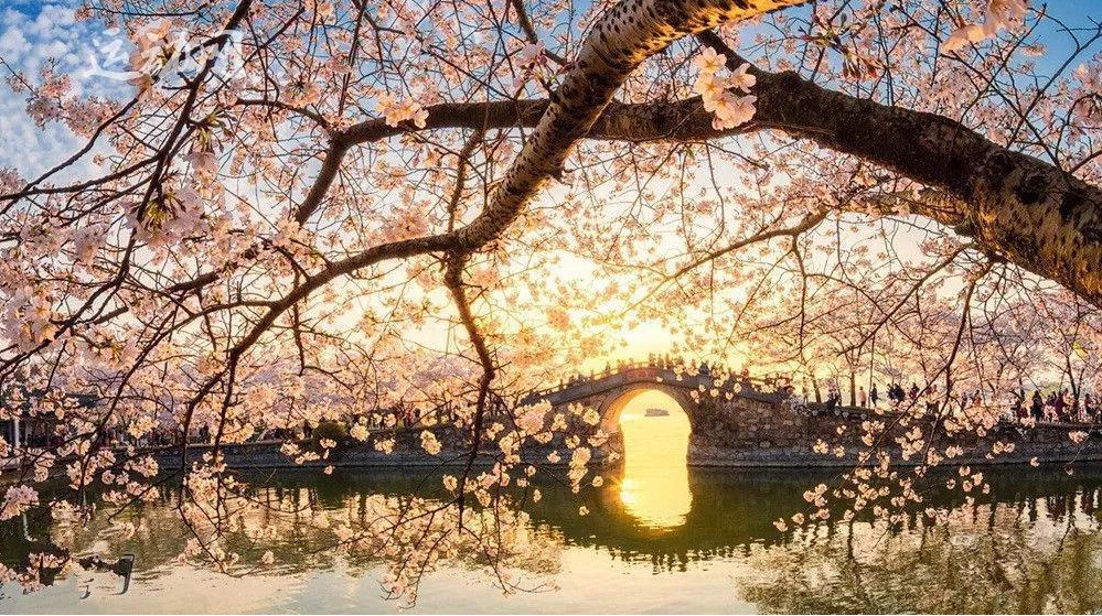微信截图_20240320114239.png
