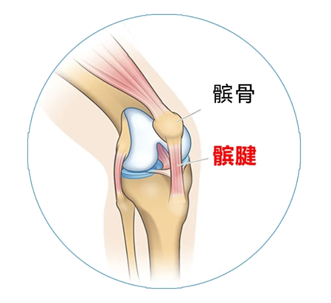 微信截图_20240514192156.png