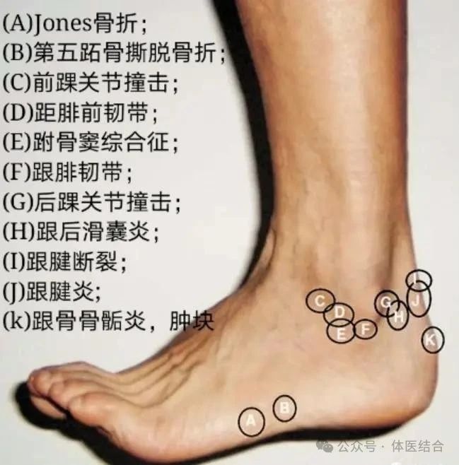 微信图片_20250416145845.jpg