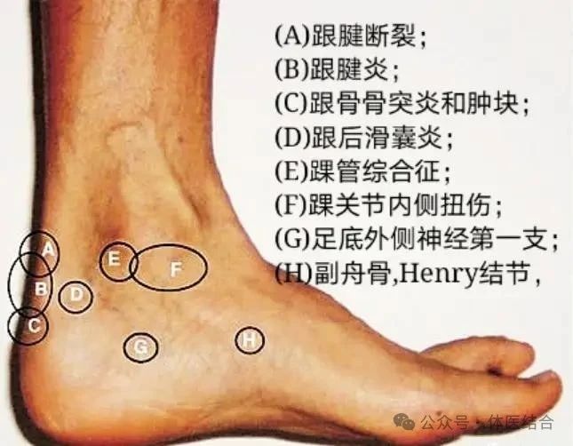 微信图片_20250416145851.jpg