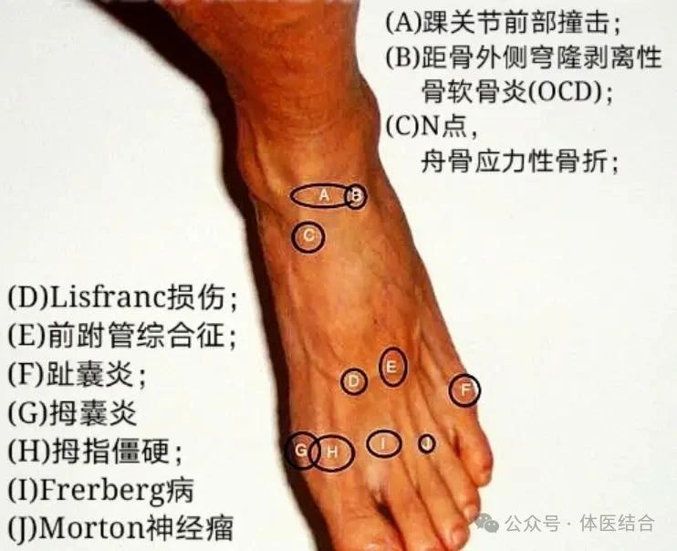 微信图片_20250416145858.jpg