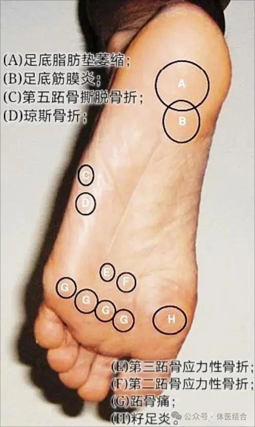 微信图片_20250416145904.jpg