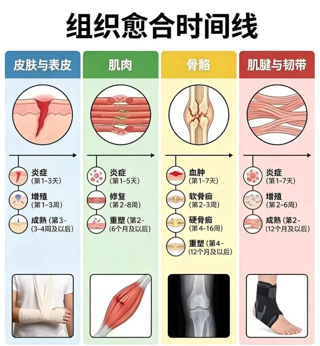 微信图片_2026-05-11_141544_515.jpg